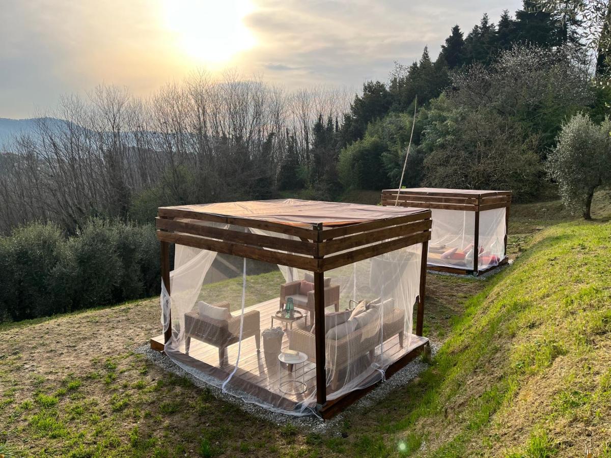 Casa Del Pino Bed & Breakfast Borgo a Buggiano Dış mekan fotoğraf