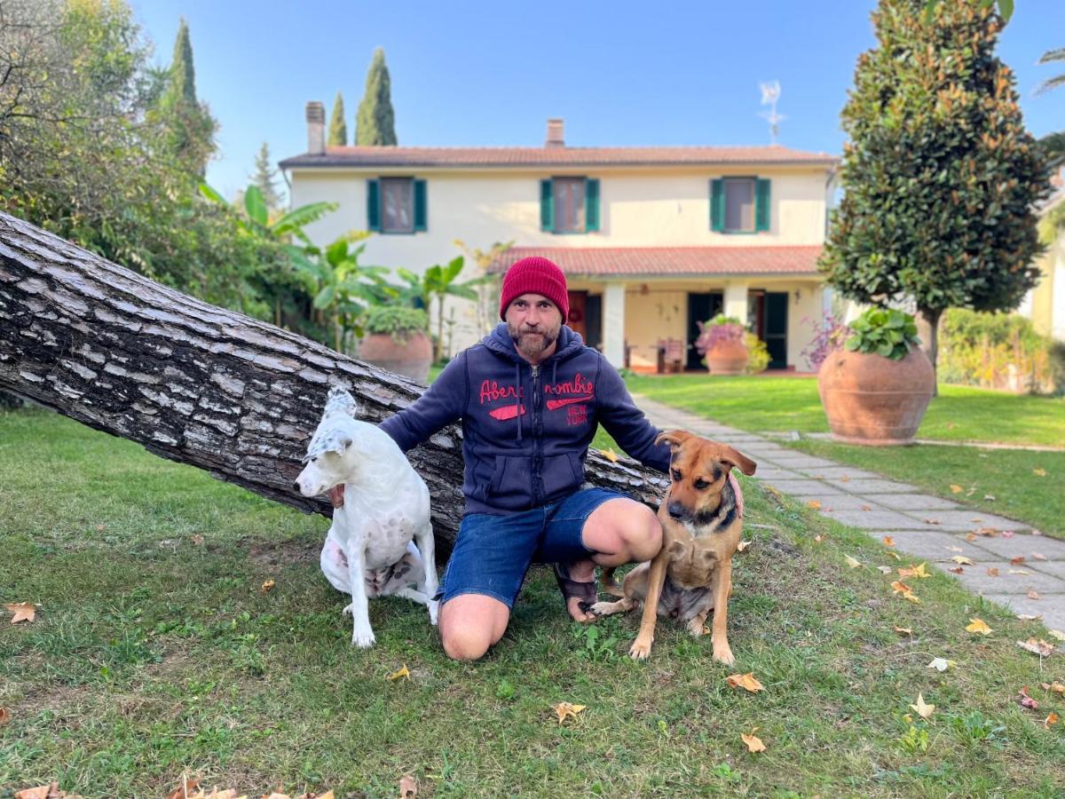 Casa Del Pino Bed & Breakfast Borgo a Buggiano Dış mekan fotoğraf